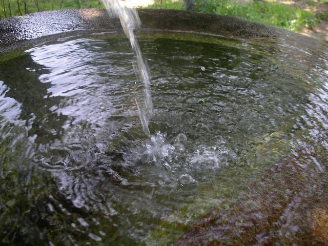 蔵王猿倉の湧き水～ナラの水